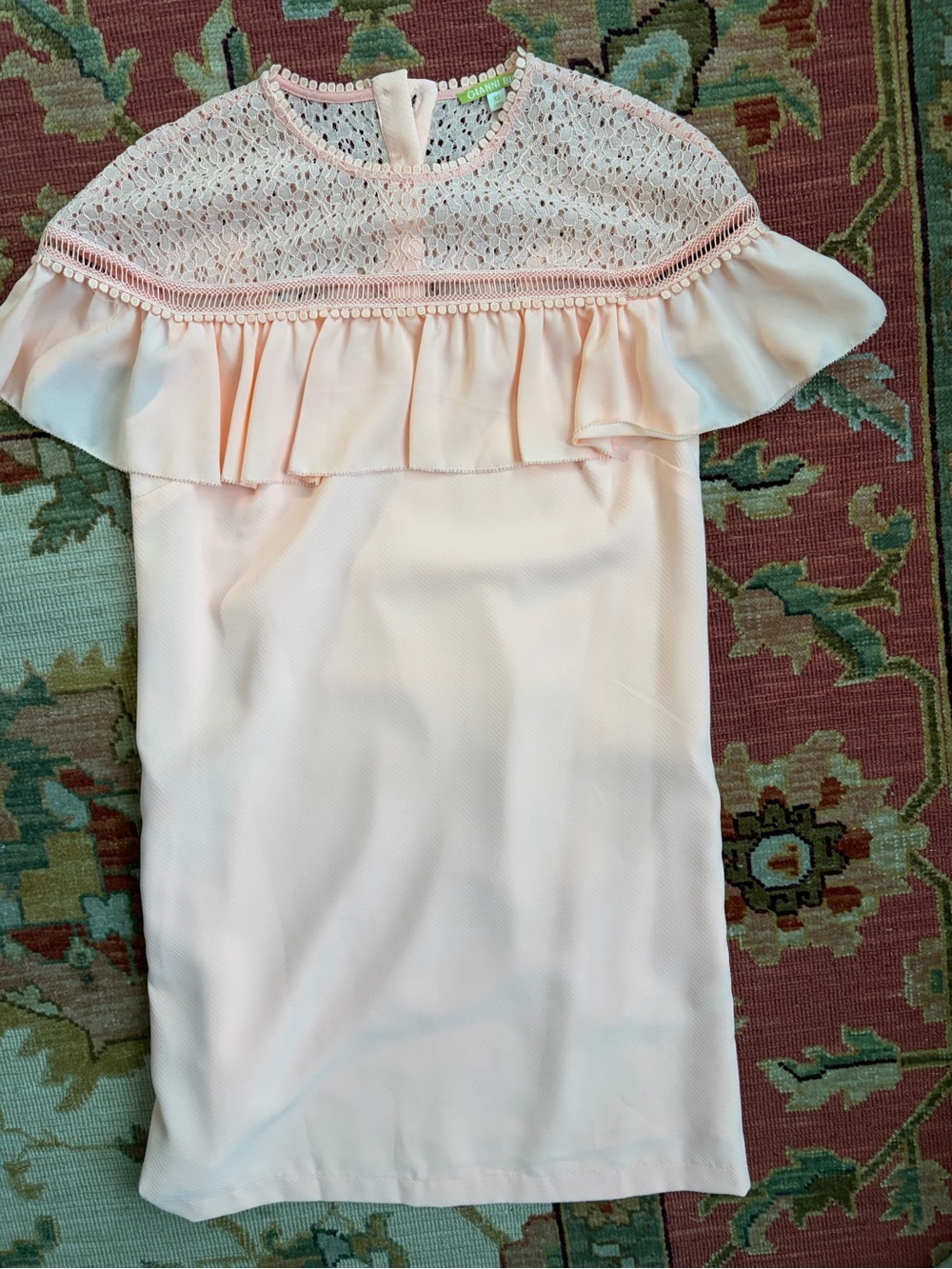 Gianni Bini Blush Pink Lace Ruffle Mini Dress XS